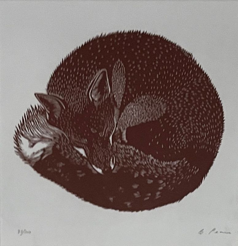 Sleeping Fox by Baps Pease Sleeping Fox by Baps Pease