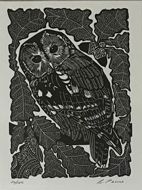 Owl by Baps Pease Owl by Baps Pease