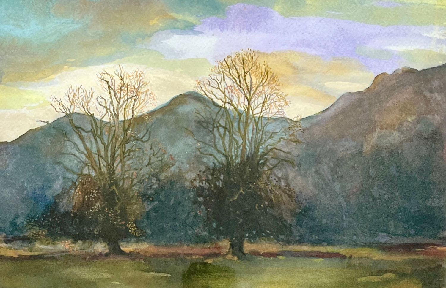 Glen Trees by Marianne dey