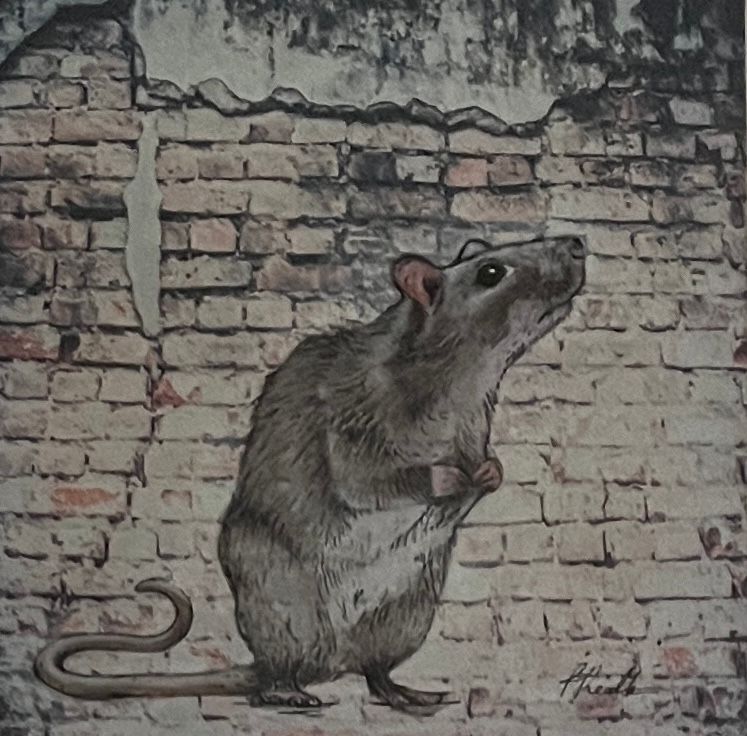 Freedom soon by Fiona Radbourne