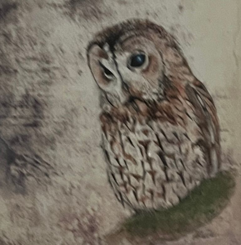 Where the moon was by Fiona Radbourne