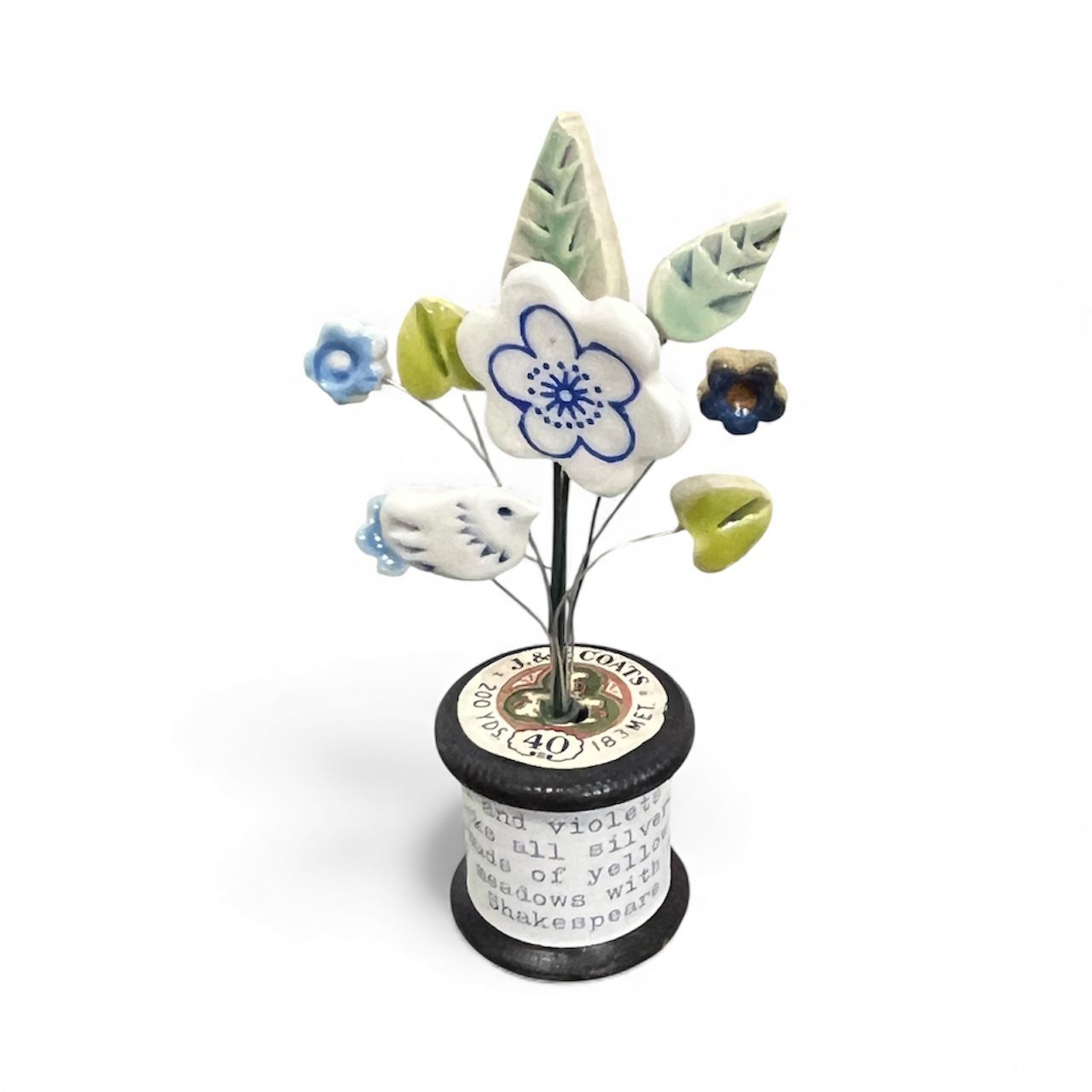 Daisies pied by Lesley Walker