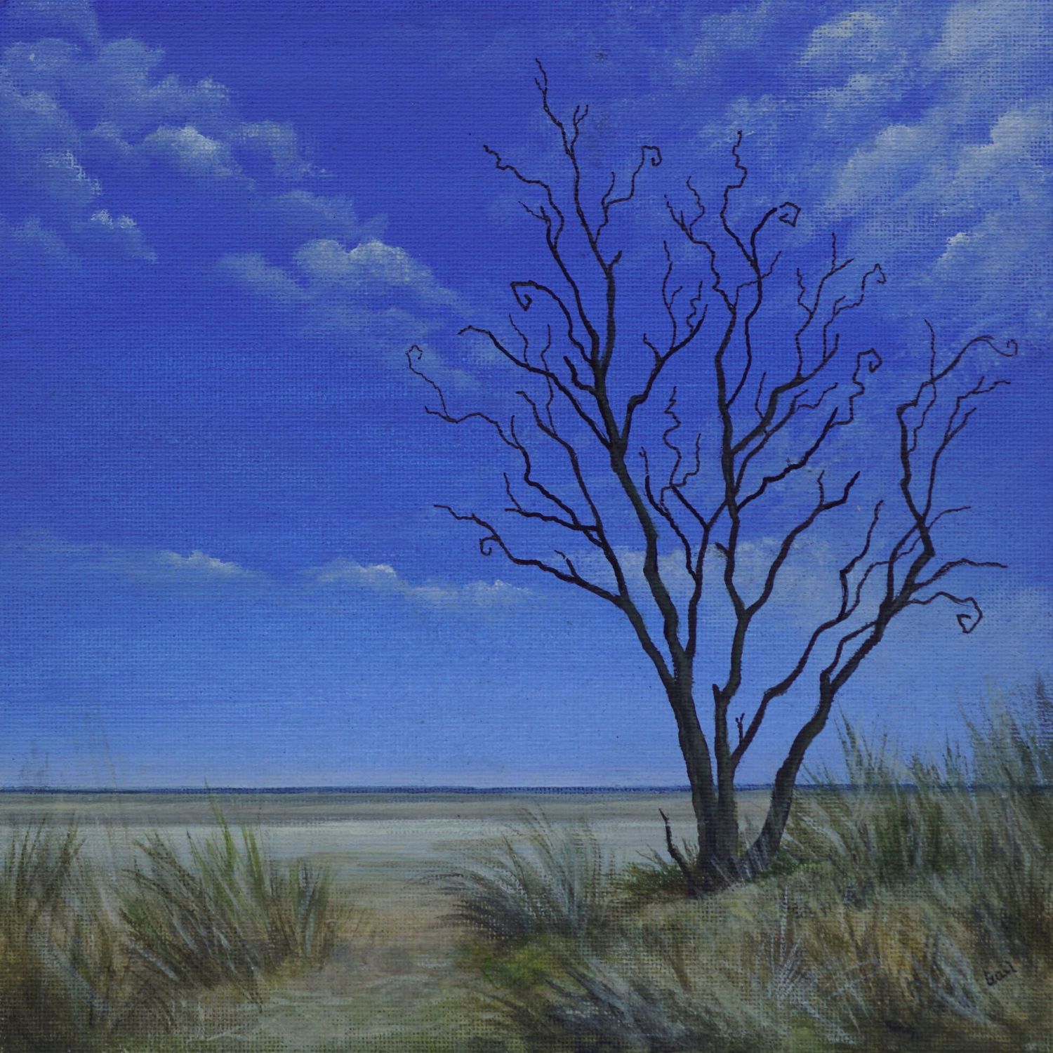 Twisted Tree, Tentsmuir by Gail Stirling Robertson