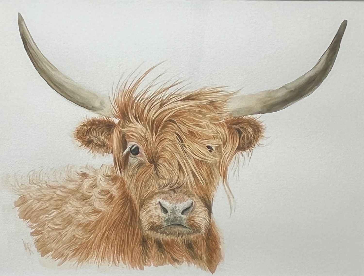 Windswept & wistful by Lorna C Radbourne