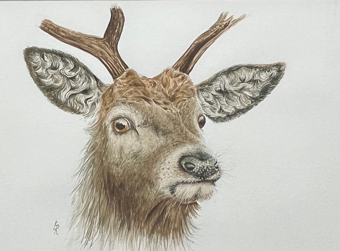 Are you looking at me? by Lorna C Radbourne Are you looking at me? by Lorna C Radbourne