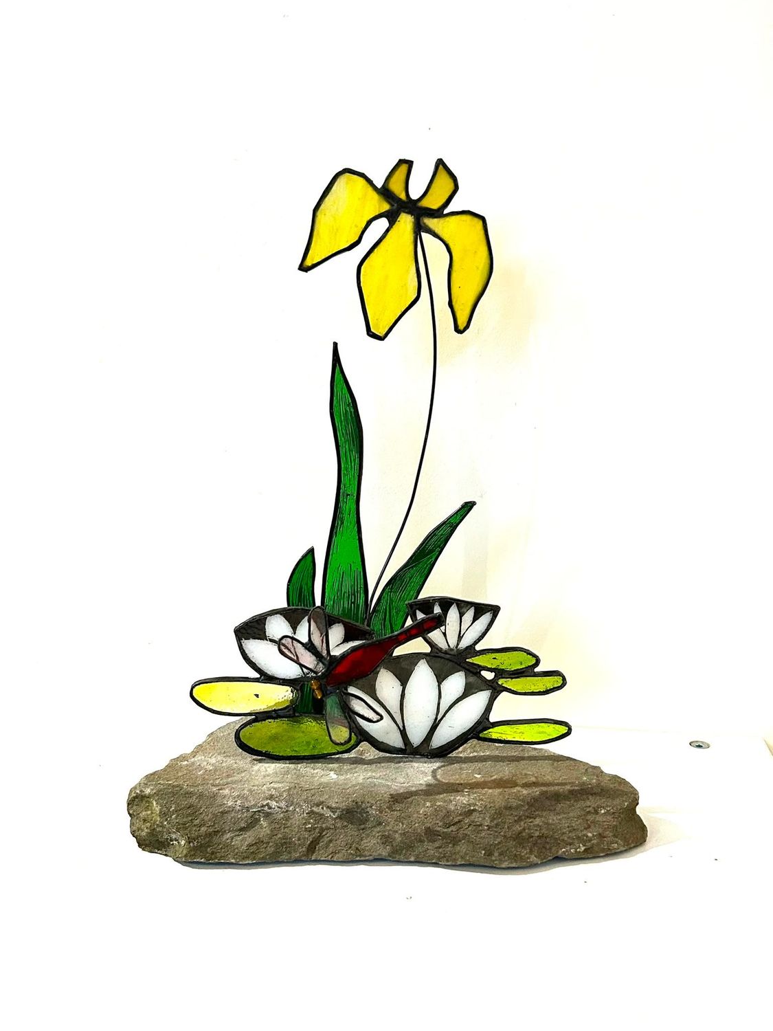 Lily Pond by Lorna C Radbourne