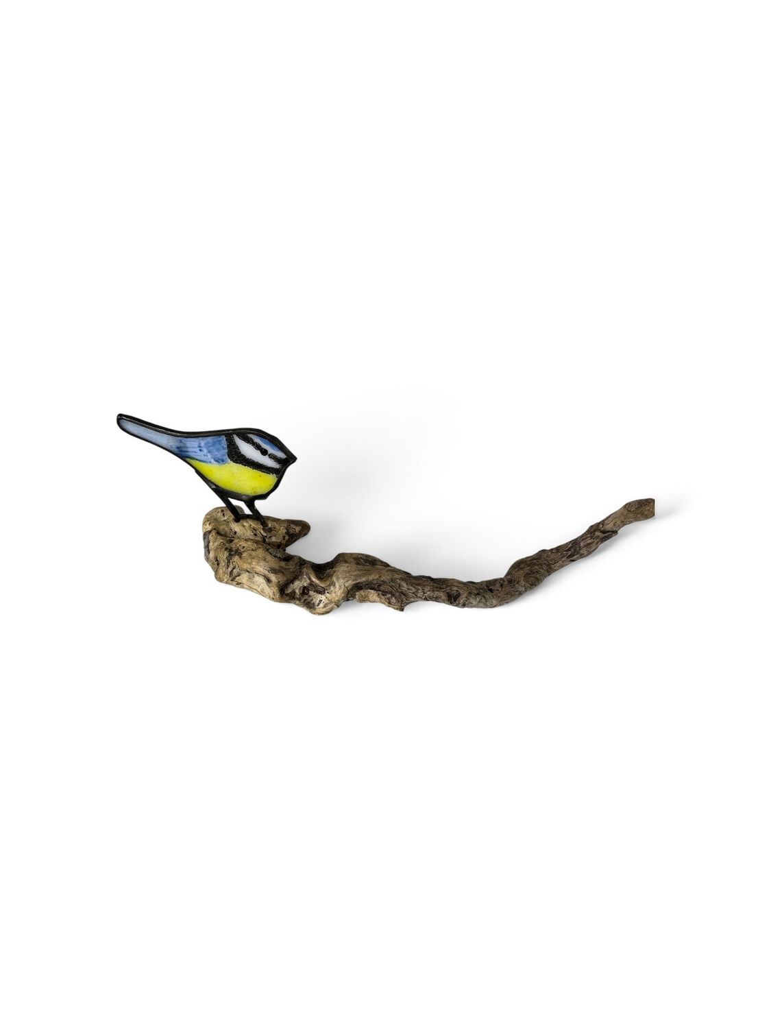 Tiny blue tit by Lorna C Radbourne