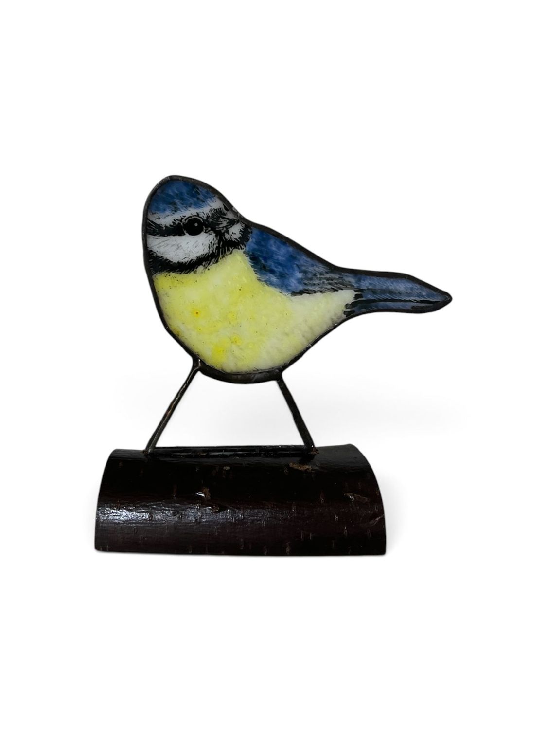 Blue tit by Lorna C Radbourne