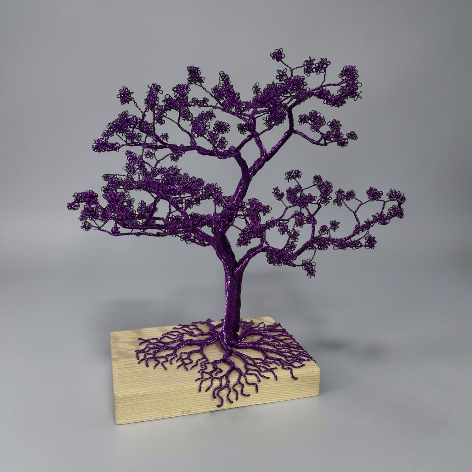 Plum Tree by Laura Woods