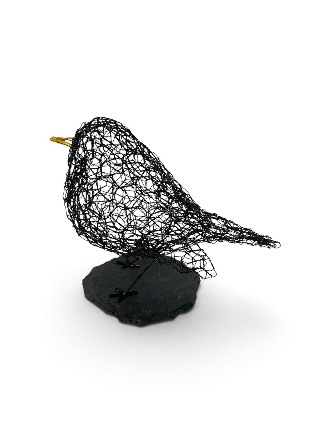 Blackbird on slate by Laura Woods