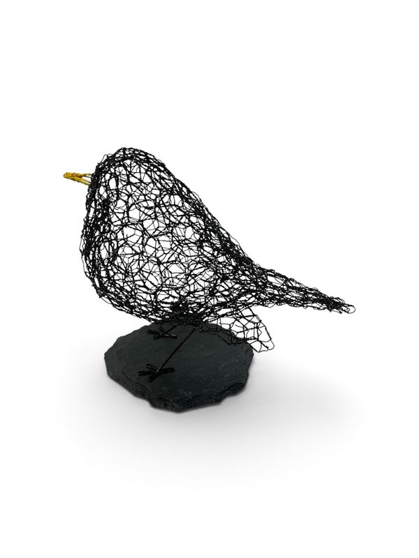 Blackbird on slate by Laura Woods Blackbird on slate by Laura Woods