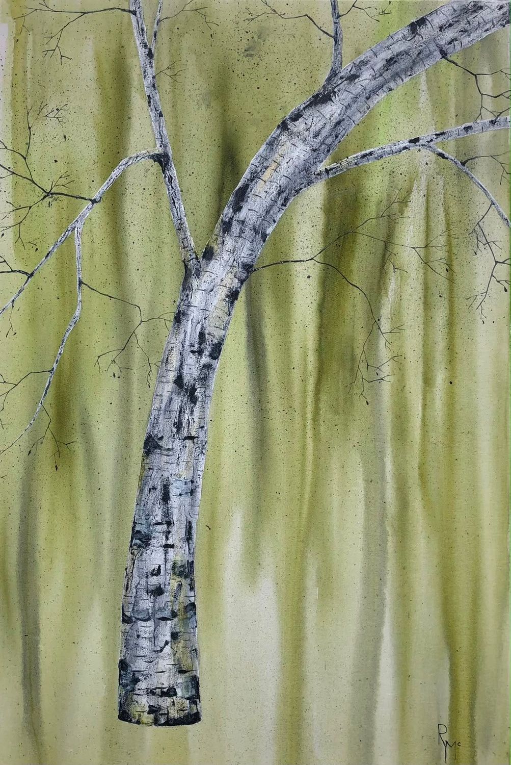 Green Silence by Rochelle McConnachie