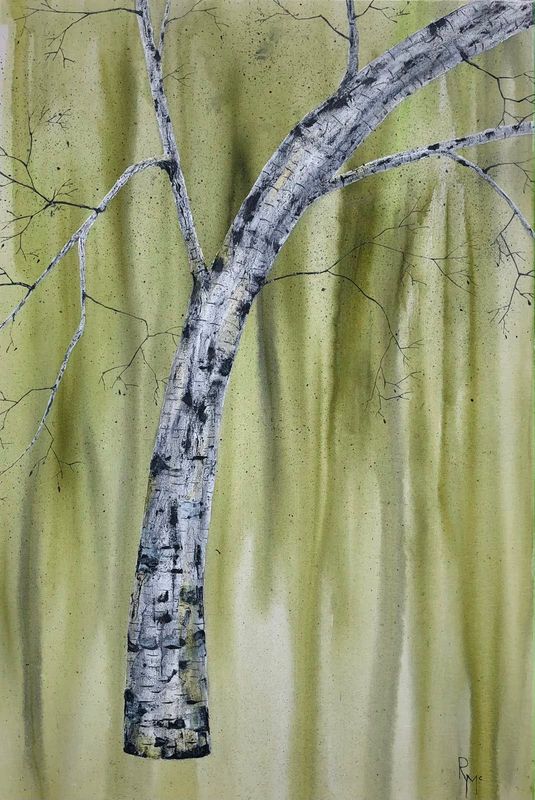 Green Silence by Rochelle McConnachie