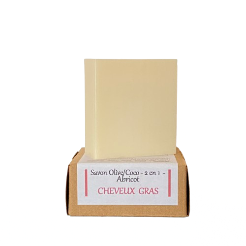 Shampoo soap 2 in 1 OILY HAIR