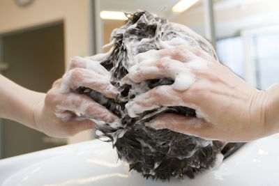 SHAMPOING SOLIDE