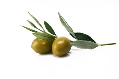 SAVON A L'OLIVE
