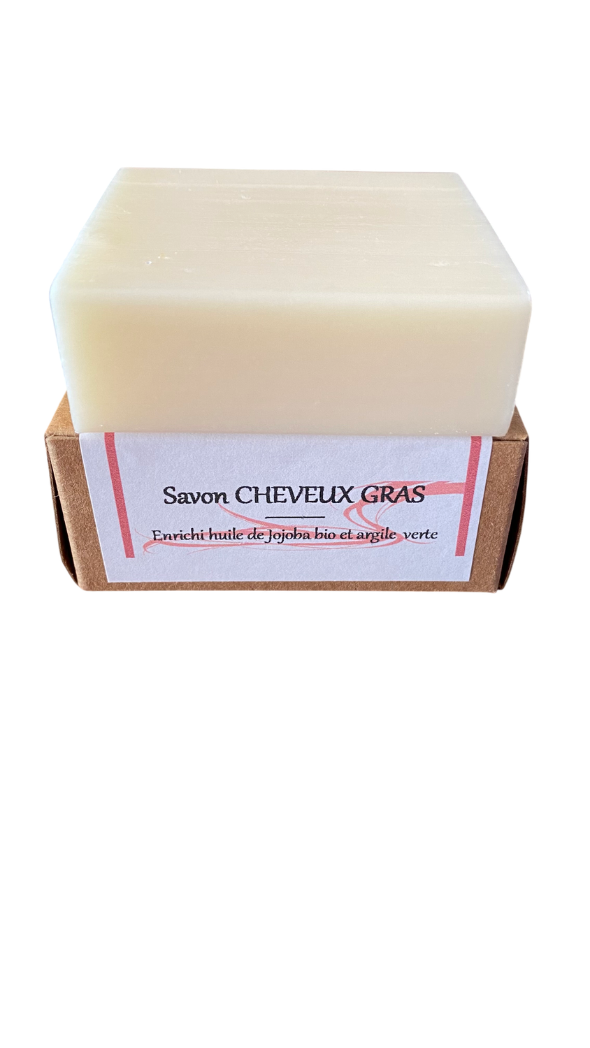 shampoing solide CHEVEUX GRAS