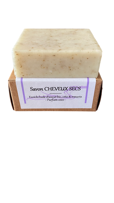Shampoo soap 2 in 1 DRY HAIR