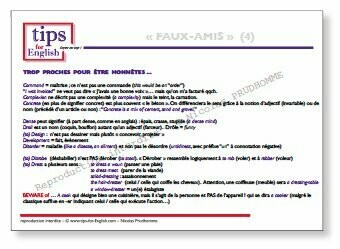 Fiche FAUX-AMIS
