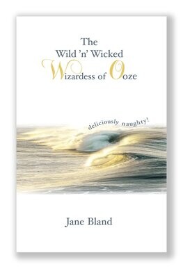 The Wild'n'Wicked Wizardess of Ooze  (version ebook-PDF)