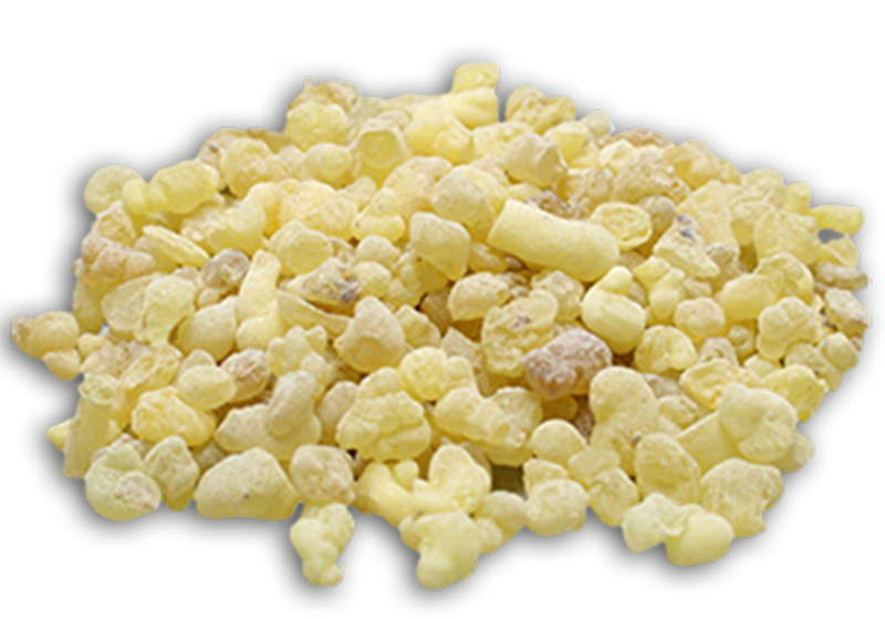 Weihrauch Eritrea Granen