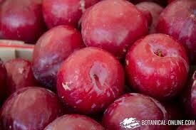Ciruelas €/kg