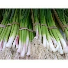 MANAT ALLS TENDRES MANAT ALLS TENDRES