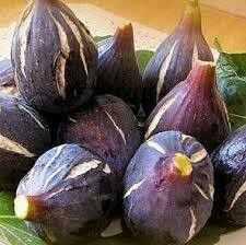 Figues