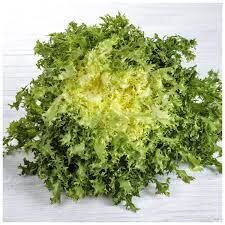 Escarola