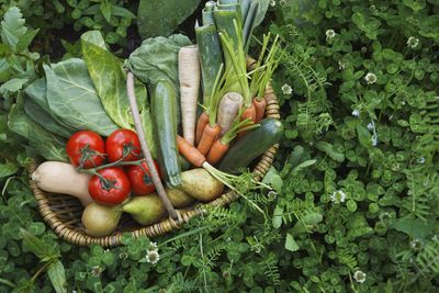 VERDURAS