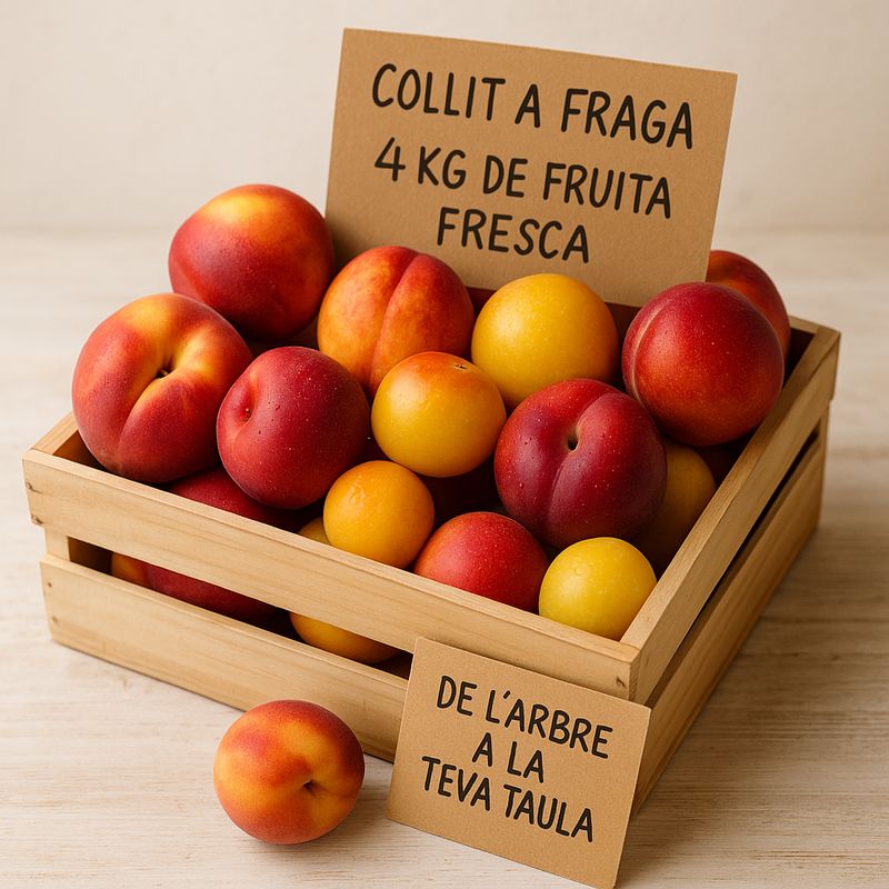KIT FRAGA VARIAT (4kg)