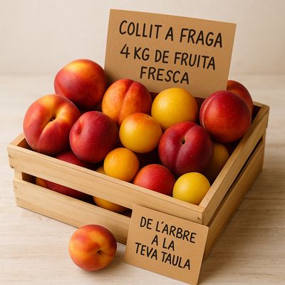 KIT FRAGA VARIAT (4kg)
