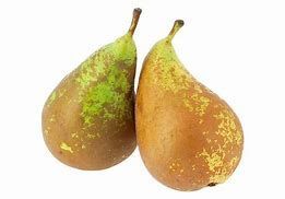 Pera Conferència €/KG Pera Conferència €/KG