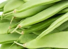 MONGETA TENDRA €/KG