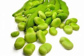 Faves €/kg Faves €/kg