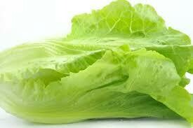 LECHUGA LARGA €/Unidad