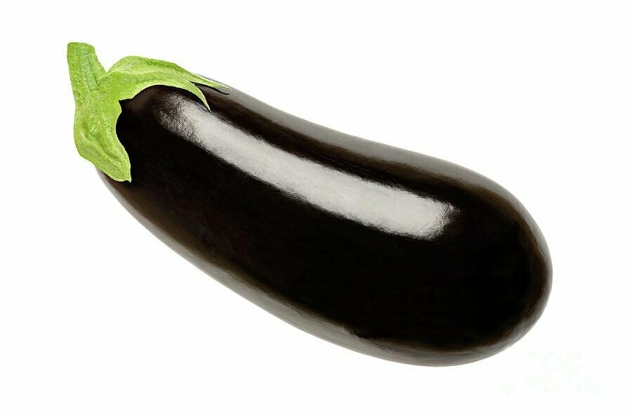 Eggplant