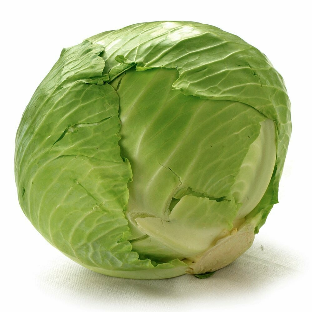 Green Cabbage