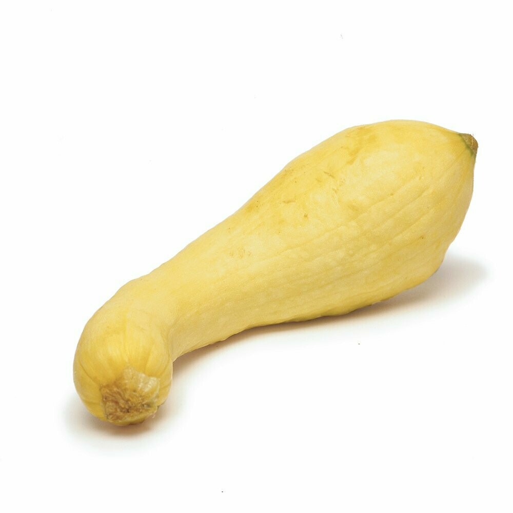 Zucchini Yellow Squash 2-PACK