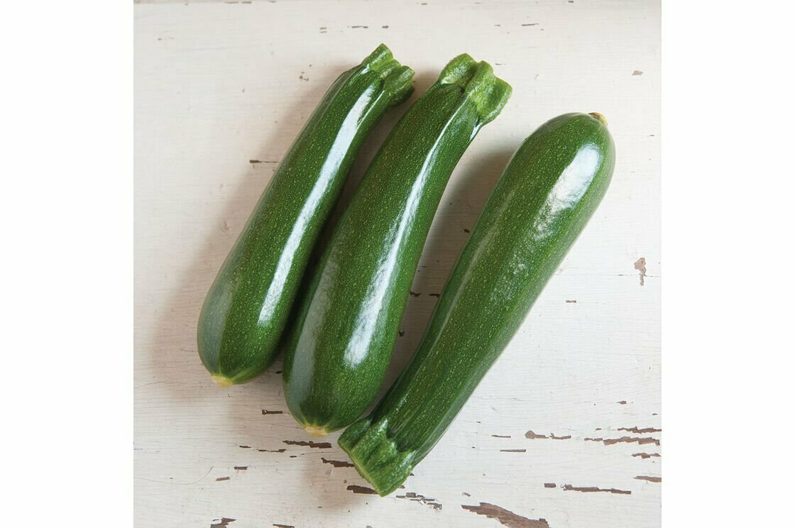 Zucchini Green Squash 2-PACK