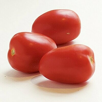 Plum Tomatoes 3-Pack