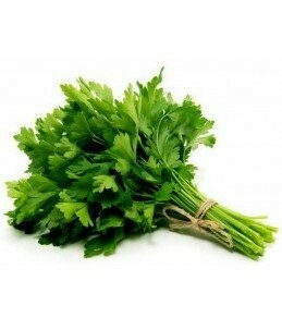 Italian Flat Parsley Bunch