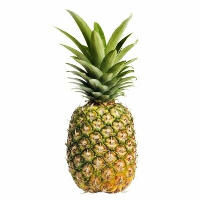 Large Pineapple
