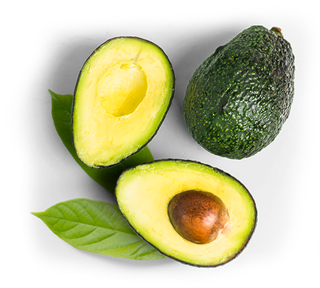 Avocado