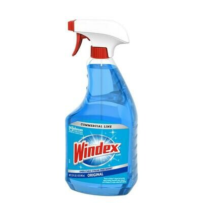 Windex Bottle