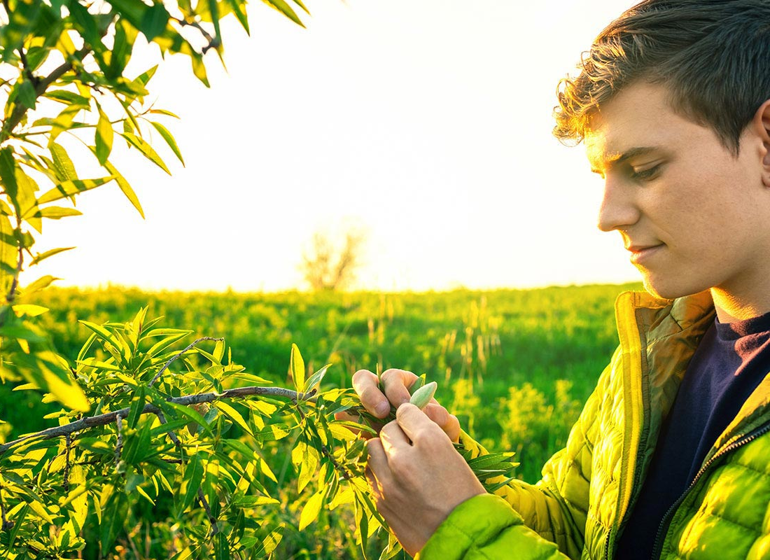 Curso Incorporación a la Empresa Agraria Online