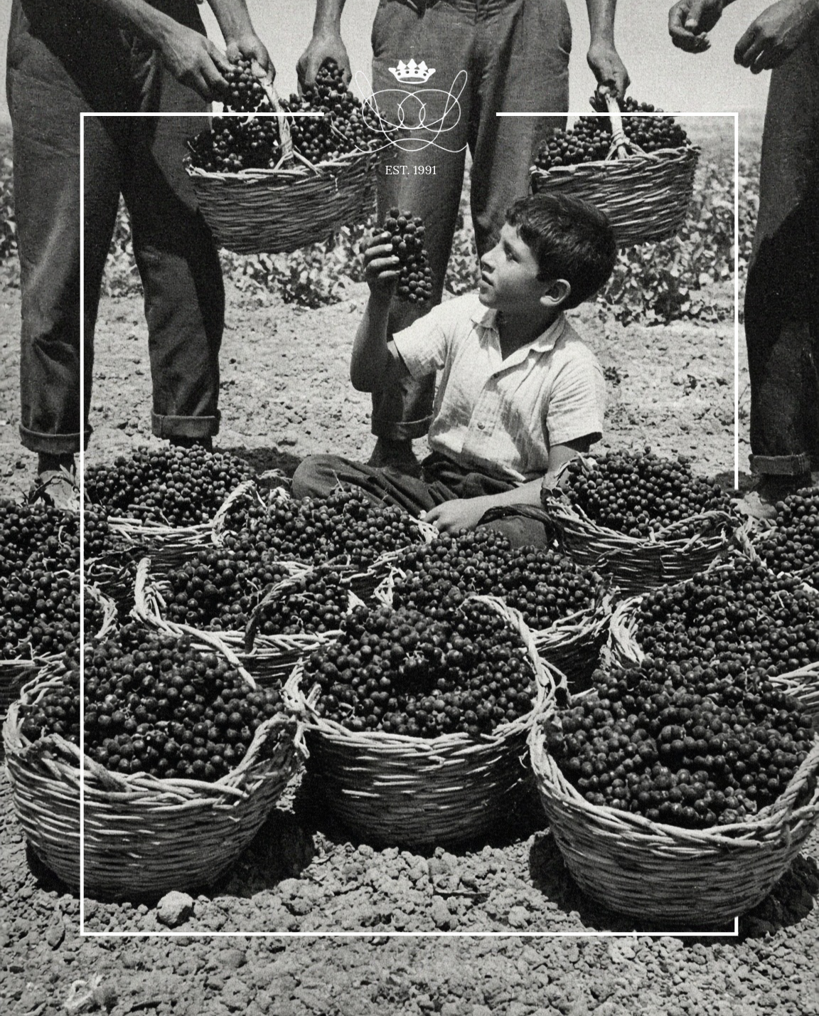 CATA de Vino
