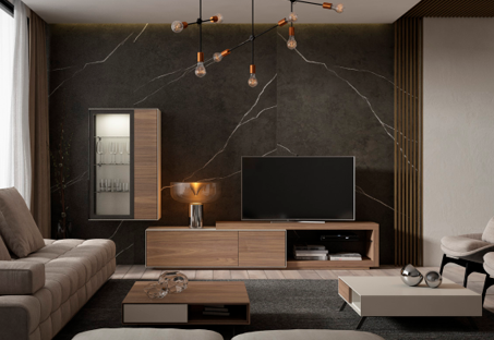 Mueble salón LOFT-10