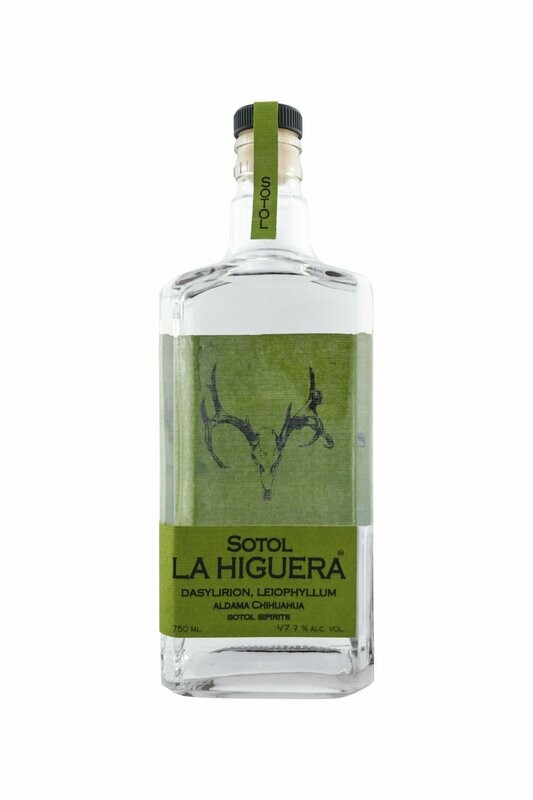 Sotol La Higuera Leophyllum