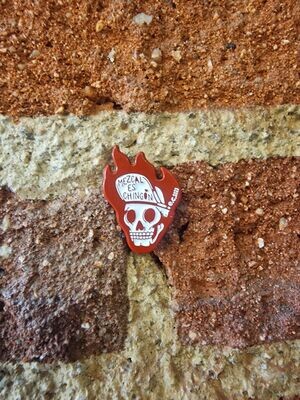 PINS